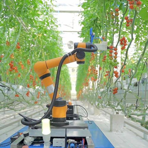 Robot agrícola
