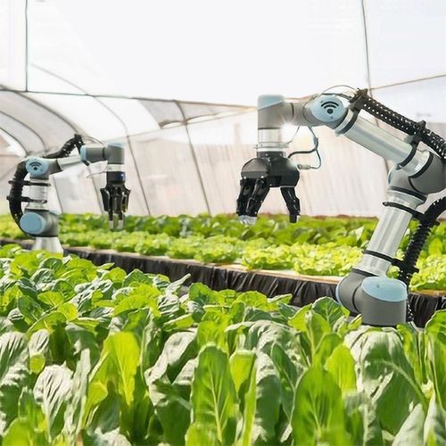 Robot agrícola robot